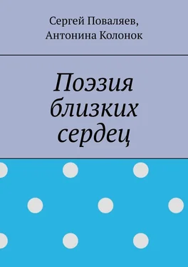 Сергей Поваляев Поэзия близких сердец. лирика обложка книги