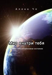 Алена Че - Мир внутри тебя. Помощь себе в стрессовом состоянии
