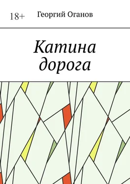 Георгий Оганов Катина дорога обложка книги