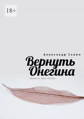 Александр Солин - Вернуть Онегина
