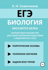 Егор Советников - Биология. Биосинтез белка. Полный практический курс для самостоятельной подготовки к заданиям №3 и №27