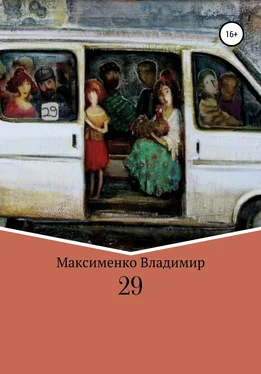Владимир Максименко 29 обложка книги