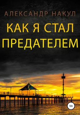 Александр Накул Как я стал предателем обложка книги