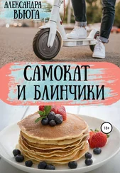 Александра Вьюга - Самокат и блинчики