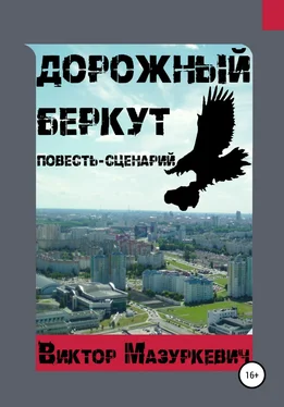 Виктор Мазуркевич Дорожный Беркут обложка книги