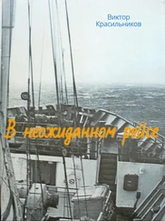 Виктор Красильников - В неожиданном рейсе