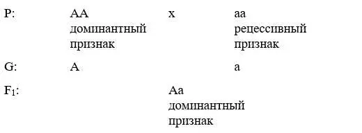 Суть закона При скрещивании двух особей одна из которых является гомозиготой - фото 5