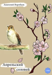 Анатолий Воробьёв - Апрельский соловей