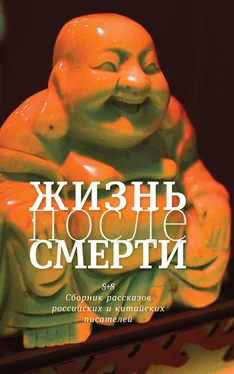 Гэ Лян Жизнь после смерти. 8 + 8 обложка книги