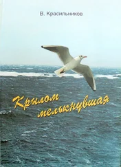 Виктор Красильников - Крылом мелькнувшая