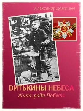 Александр Дёмышев Витькины небеса. Жить ради Победы обложка книги