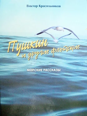 Виктор Красильников Пушкин и другие флотские. Морские рассказы обложка книги