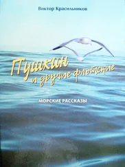 Виктор Красильников - Пушкин и другие флотские. Морские рассказы