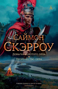 Саймон Скэрроу Добыча золотого орла. Пророчество орла обложка книги