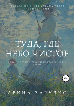 Арина Зарудко Туда, где небо чистое обложка книги