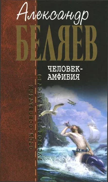 Александр Беляев Человек-амфибия обложка книги