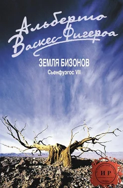 Альберто Васкес-Фигероа Земля бизонов обложка книги