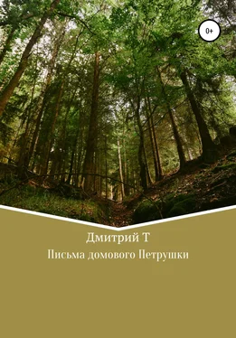 Дмитрий Т Письма домового Петрушки обложка книги