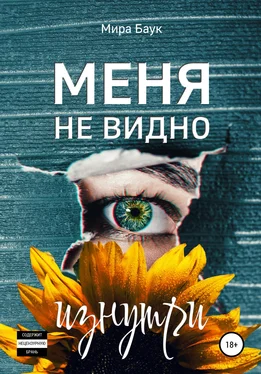 Мира Баук Меня не видно изнутри обложка книги