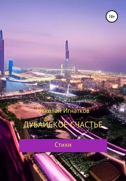 Николай Игнатков Дубайское счастье обложка книги