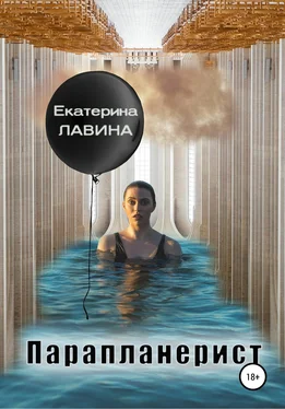 Екатерина Лавина Парапланерист обложка книги