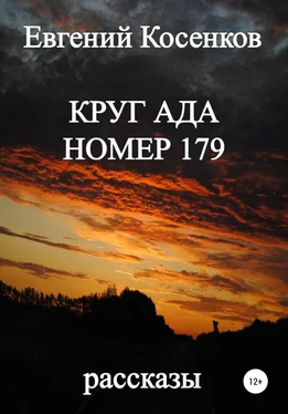 Евгений Косенков Круг ада номер 179 обложка книги