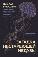 Никлас Брендборг - Загадка нестареющей медузы. Секреты природы и достижения науки, которые помогут приблизиться к вечной жизни