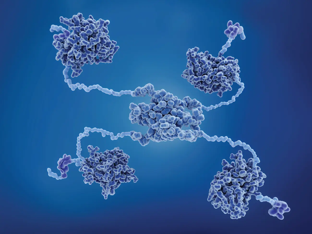 Figure 16 Structure of p53 tumor suppressor protein p53 prevents cancer - фото 9