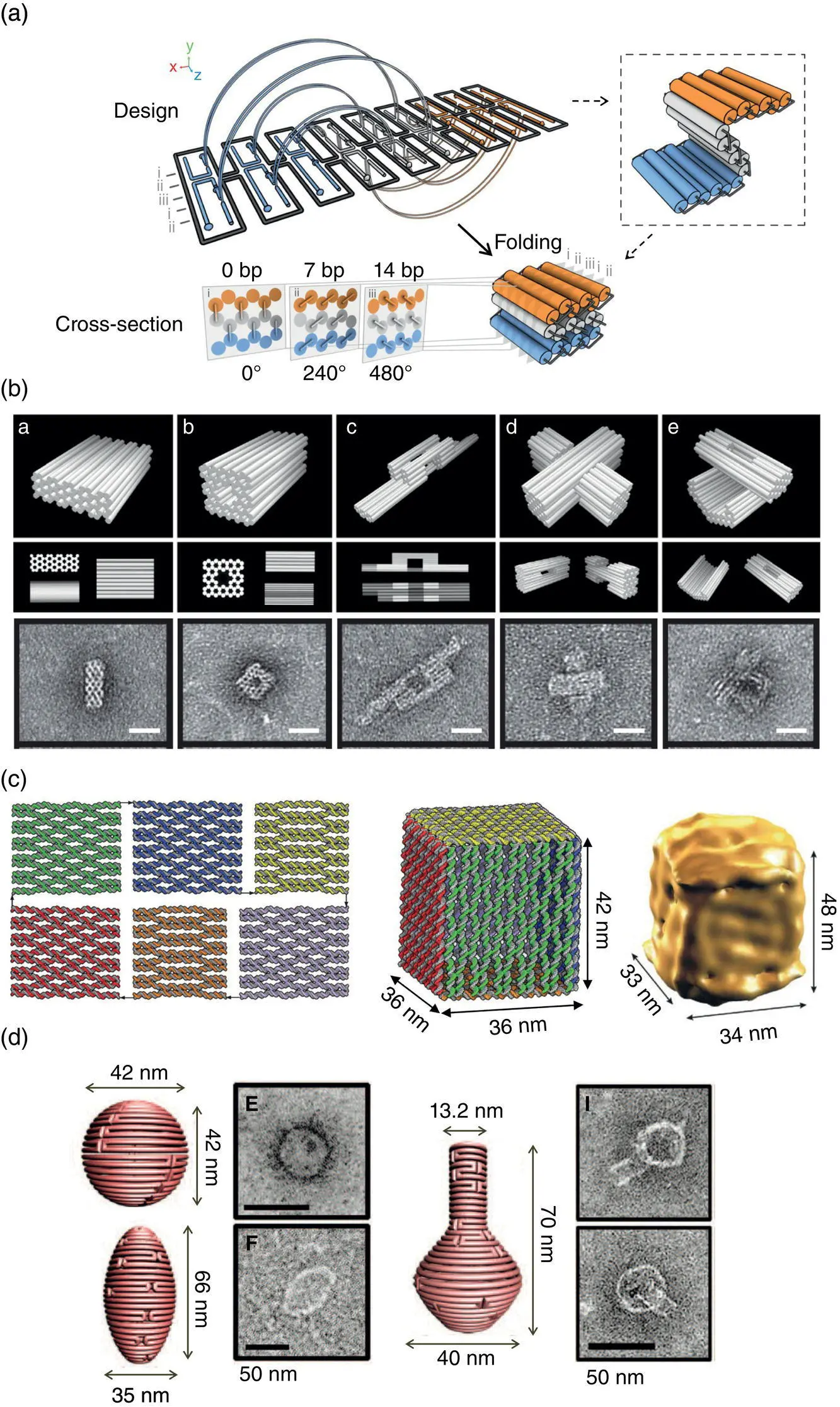 Figure 15 Design and construction of threedimensional DNA origami structures - фото 8