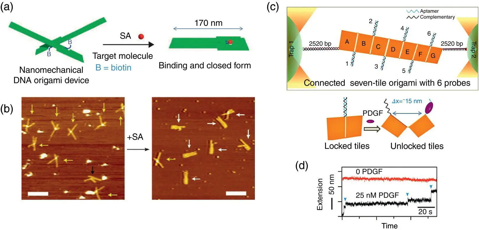 Figure 18 a Schematic illustration of pinching of a target molecule - фото 11