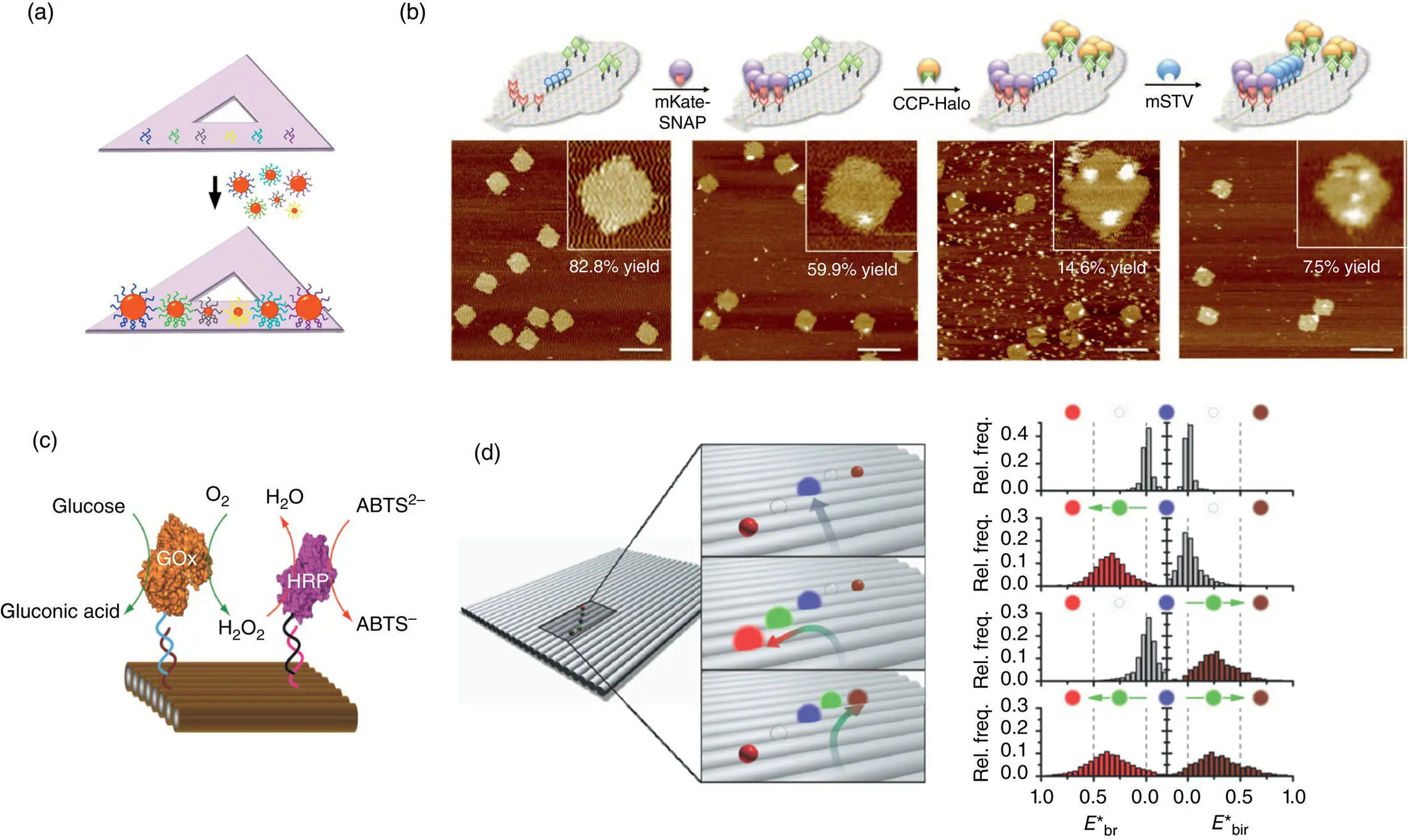 Figure 16 Selective incorporation of nanoparticles proteins enzymes and - фото 9
