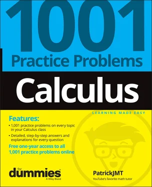 Patrick Jones Calculus: 1001 Practice Problems For Dummies (+ Free Online Practice) обложка книги