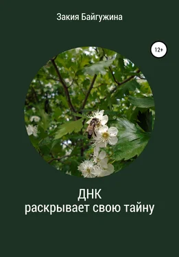 Закия Байгужина ДНК раскрывает свою тайну обложка книги