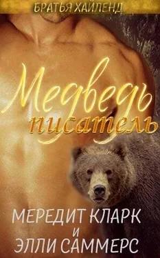 Мередит Клар Медведь-писатель (ЛП) обложка книги