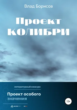 Влад Борисов Проект Колибри обложка книги