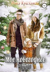 Ника Крылатая - Мое новогоднее чудо