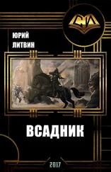 Юрий Литвин - Всадник (СИ)