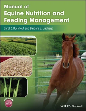 Carol Z. Buckhout Manual of Equine Nutrition and Feeding Management обложка книги