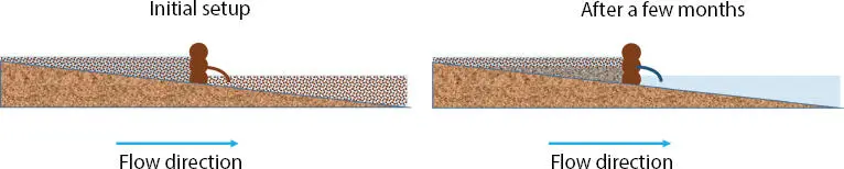 Figure 12 The OTHU selfpurification device based on a porous wood weir A - фото 9