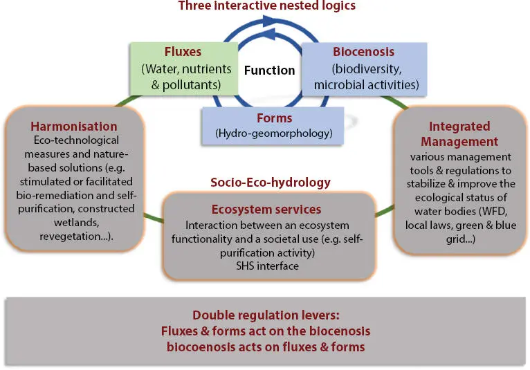Figure 113 Logical nesting between levers actions on forms fluxes and - фото 24