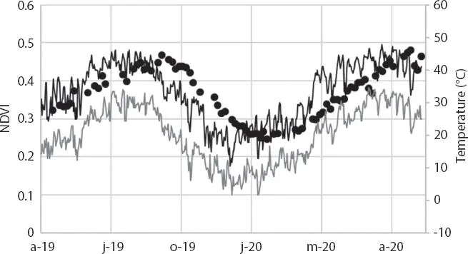 Figure 111 Monitoring of Tres Rios fringing marshes using satellite images - фото 20