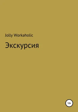 Jolly Workaholic Экскурсия обложка книги