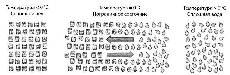 Существование на грани Как мы вскоре убедимся фазовое разделение и - фото 6