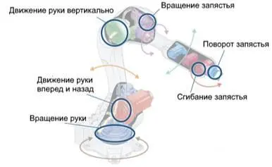 Рис 39 Расположение и назначение редукторов Редукторы нижних осей с первой - фото 18