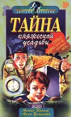 Анна Устинова Тайна княжеской усадьбы обложка книги