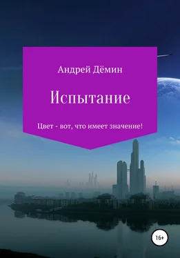 Андрей Дёмин Испытание обложка книги