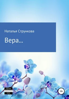 Наталья Стрункова Вера… обложка книги