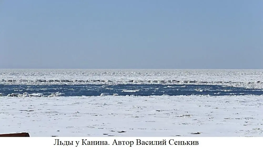 До середины лета на выходе из Белого моря непреодолимым валом лежали льды Они - фото 14