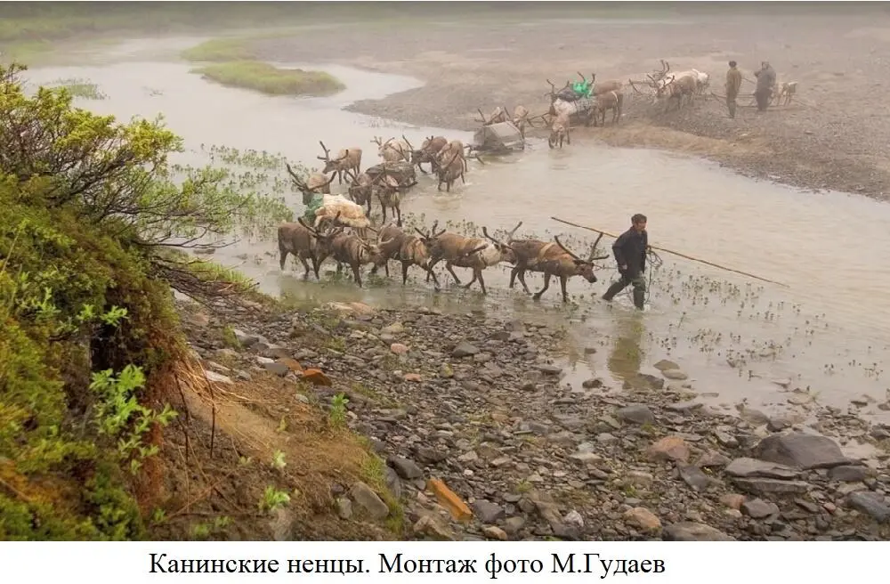 Следует помнить что к тому времени на Мезенских и Канинских землях уже - фото 8