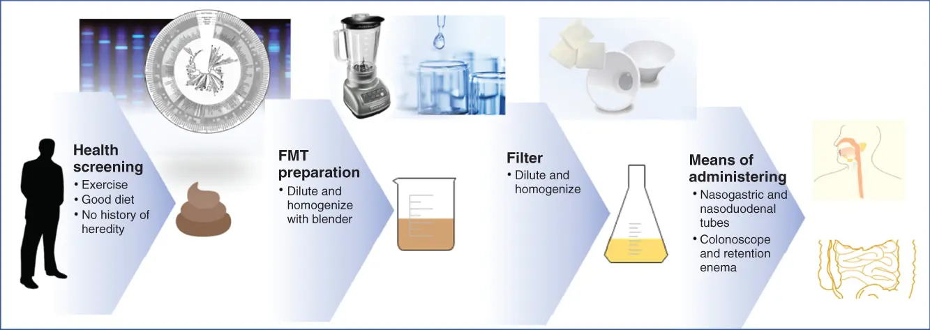 Figure 15 Protocol of FMTStool from healthy donors are screened and tested - фото 6